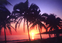 beach resort job photo
