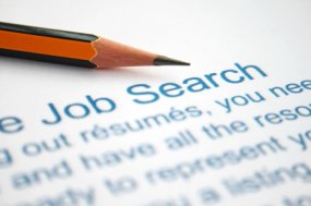 job search graphic